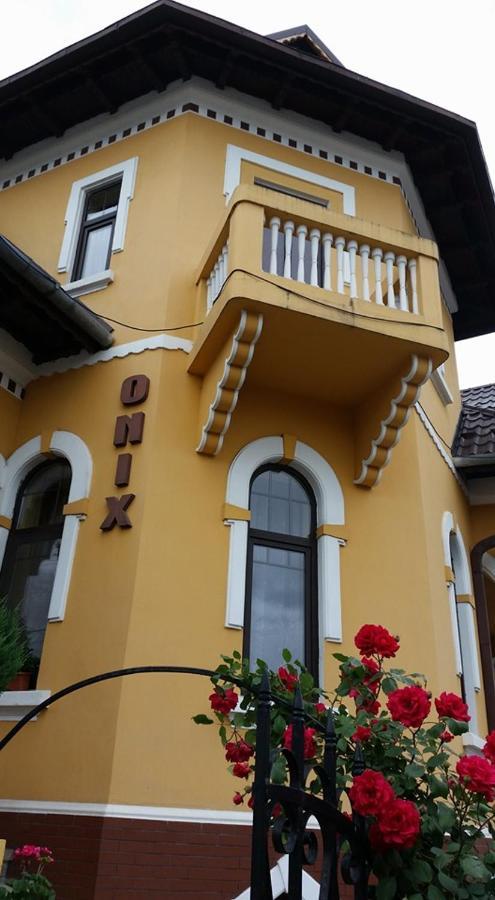 Pensiunea Onix Fagaras Bagian luar foto