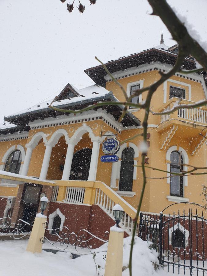 Pensiunea Onix Fagaras Bagian luar foto