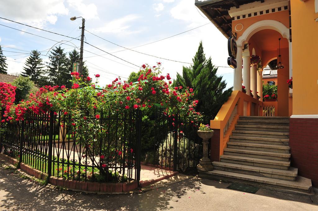 Pensiunea Onix Fagaras Bagian luar foto