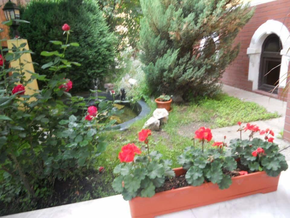 Pensiunea Onix Fagaras Bagian luar foto