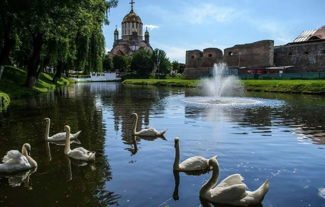 Pensiunea Onix Fagaras Bagian luar foto