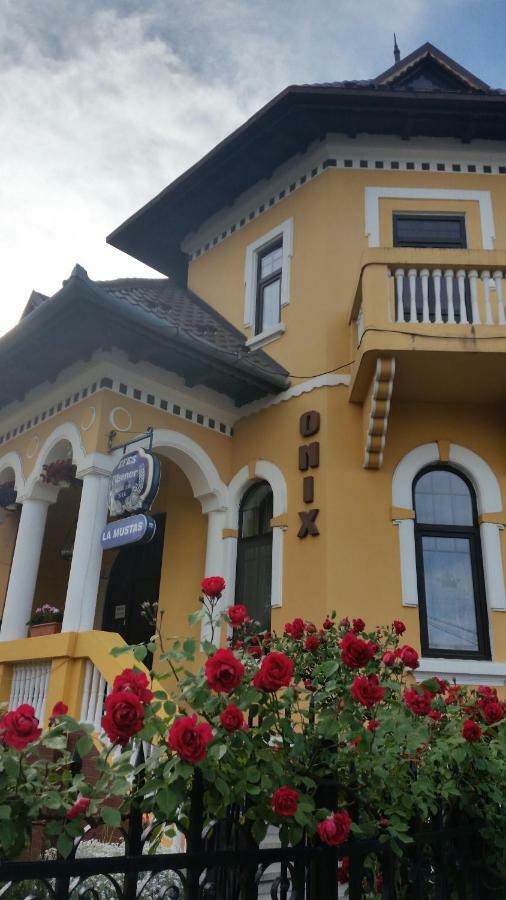 Pensiunea Onix Fagaras Bagian luar foto
