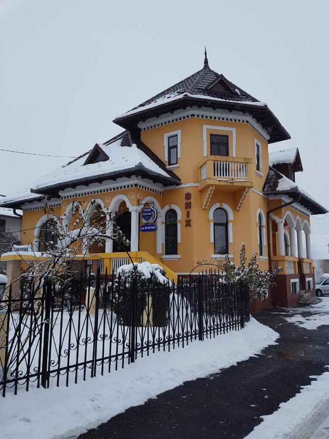 Pensiunea Onix Fagaras Bagian luar foto
